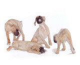 Puppies and Kittens III