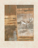 Safari I