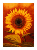 Buy King of Summer at AllPosters.com