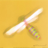 Buy Dragonfly at AllPosters.com