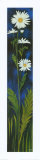 Buy Top Flowers IV at AllPosters.com