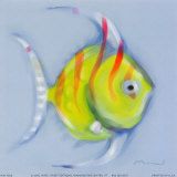 Buy Striped Angel Fish at AllPosters.com