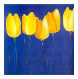Buy Yellow Tulips at AllPosters.com
