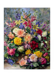 Summer Splendour