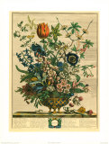 February Art Print
