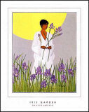 Iris Garden