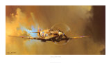 Buy Spitfire at AllPosters.com