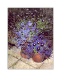 Patio Pansies I