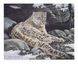 Buy Awake Snow Leopard at AllPosters.com