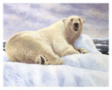 Buy Ice Kingdom at AllPosters.com