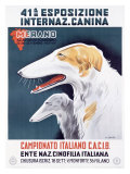 Campionato Italiano C.A.C.I.B.