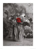 Red Roses