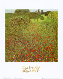 Field of Poppies