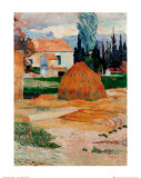 Ferme a Arles