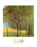 Orchard