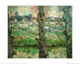 Blick Auf Arles, c.1889 Art Print