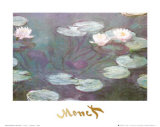 Water Lilies