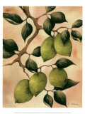 Italian Harvest, Limes