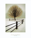 Solitude Art Print