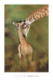 Buy Tender Love at AllPosters.com