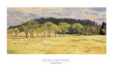 Buy Buck Run Willows at AllPosters.com