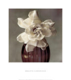 Buy Gardenia in Purple Vase at AllPosters.com
