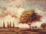Tuscan Afternoon I