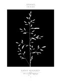 Wild Grasses I