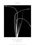 Wild Grasses II