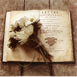 Buy Estate Anemones at AllPosters.com