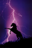 Buy Lightning and Silhouette of Horse at AllPosters.com