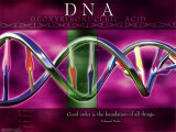 Buy DNA at AllPosters.com