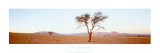 Buy Desert Twilight at AllPosters.com
