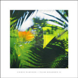 Buy Palm Shadows II at AllPosters.com