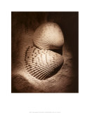 Buy Cockles at AllPosters.com