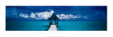 Buy The Maldives at AllPosters.com