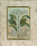 Buy Du Jardin II at AllPosters.com