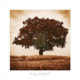 Buy Meadow Land IV at AllPosters.com