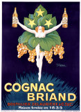 Buy Cognac Briand at AllPosters.com