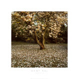Buy Magnolia at AllPosters.com