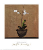 Pacific Serenity I