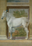 Mantua Fresco I