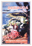 Bermuda by Clipper