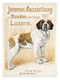 Austellung Von Hunden