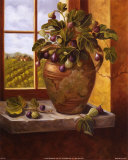 Figs in Tuscany