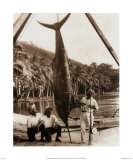Day's Catch