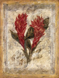 Red Ginger