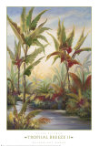 Tropical Breeze II