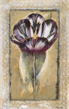 Buy Tulipa at AllPosters.com