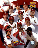 Buy 2004 Cardinals Team Composite at AllPosters.com